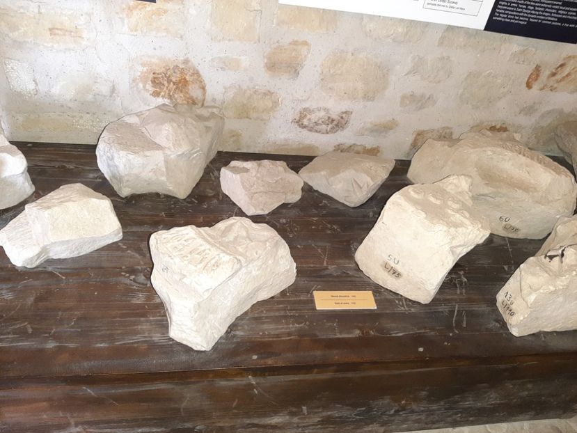  - Cetatea de scaun a Sucevei