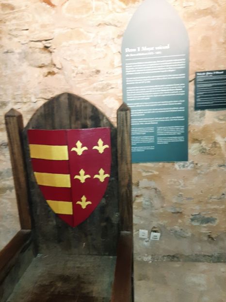  - Cetatea de scaun a Sucevei