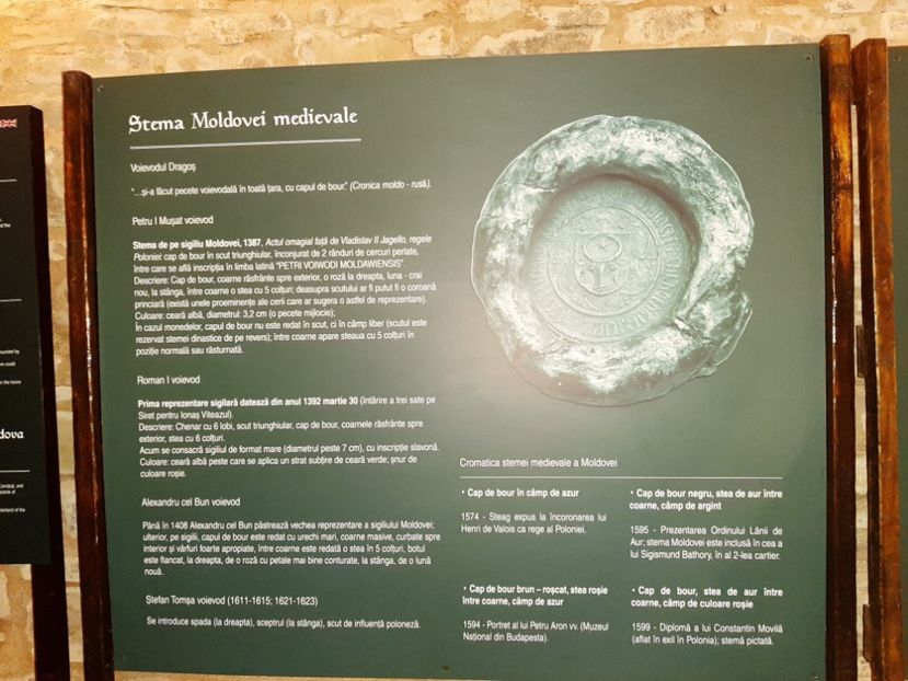  - Cetatea de scaun a Sucevei