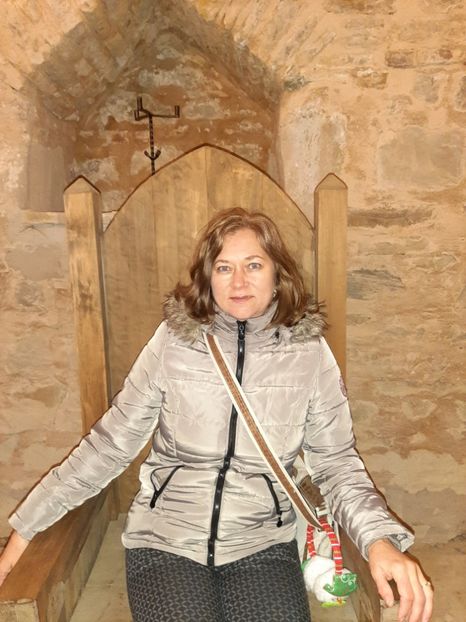  - Cetatea de scaun a Sucevei