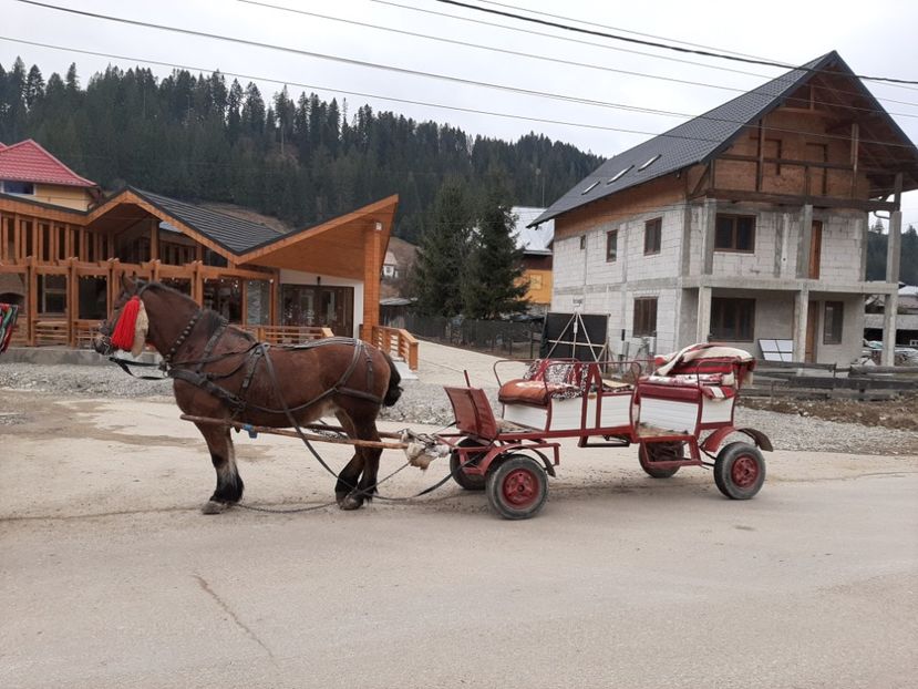  - Târg meșteșugăresc la Gura Humorului