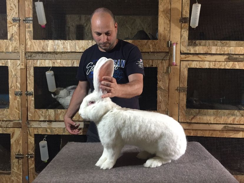 7C9B21EB-9A44-4B19-A9CF-835284B4EDBC - ALBUL MEU PREFERAT