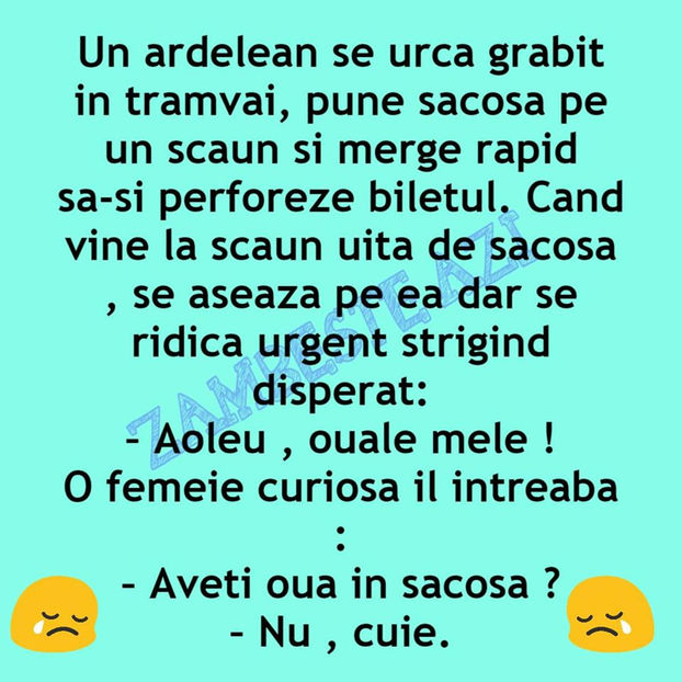 77379008_156311972438851_1093741176005066752_o - Bancuri cu Ardeleni