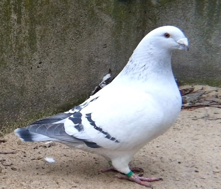 PL19-U548 ARCHIWUM - f- MLODE -2019- Youth