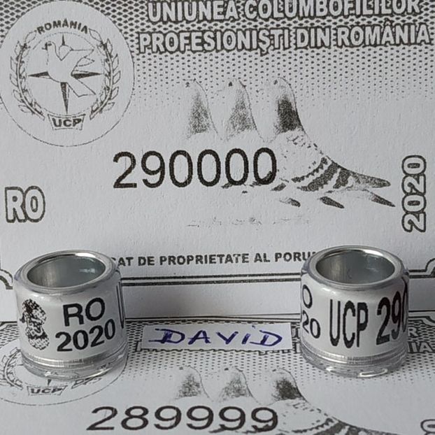 2020-UCP + talon....-terminate - Inele porumbei 2020 de vanzare