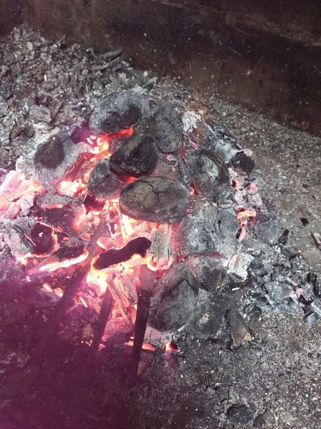 IMG-20191228-WA0001 - Cutite diverse Decembrie 2019