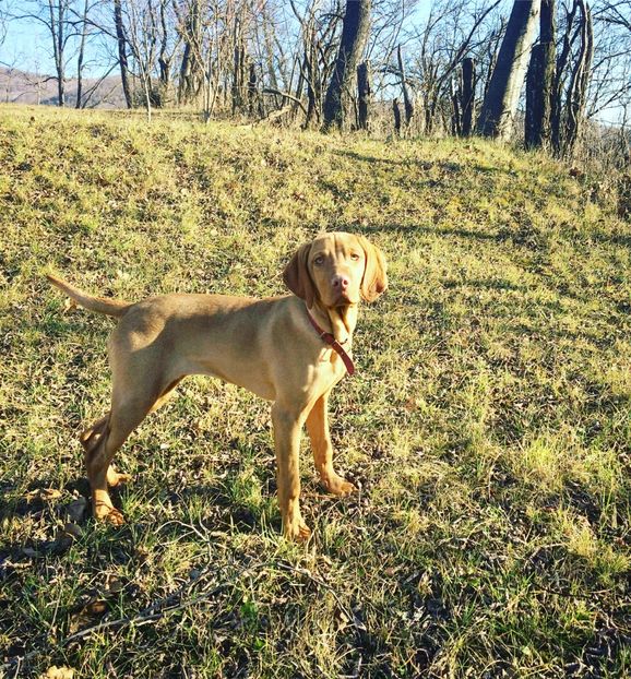 98FD962D-C1A1-4F51-BFD4-138332211674 - Contact