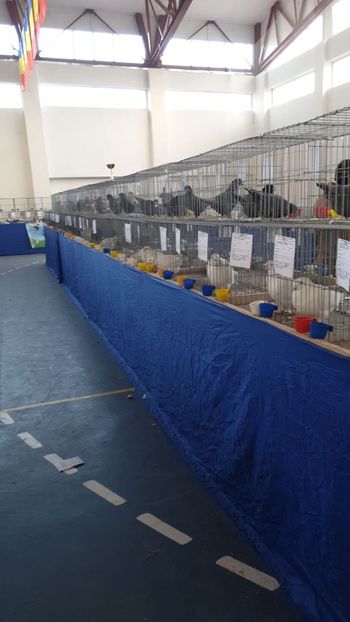 IMG-20191228-WA0011 - Expoziție Hotarele 28 -29 dec 2019