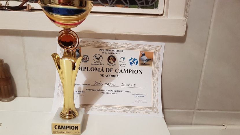  - Expoziție Hotarele 28 -29 dec 2019