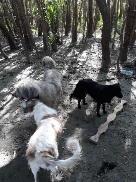  - Prietenii mei cei mai buni