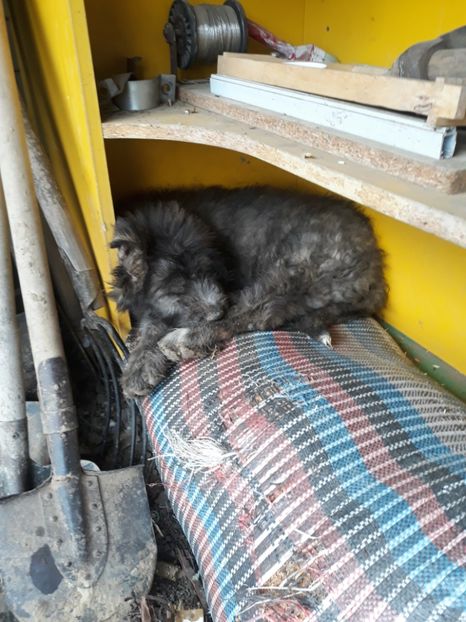  - Prietenii mei cei mai buni