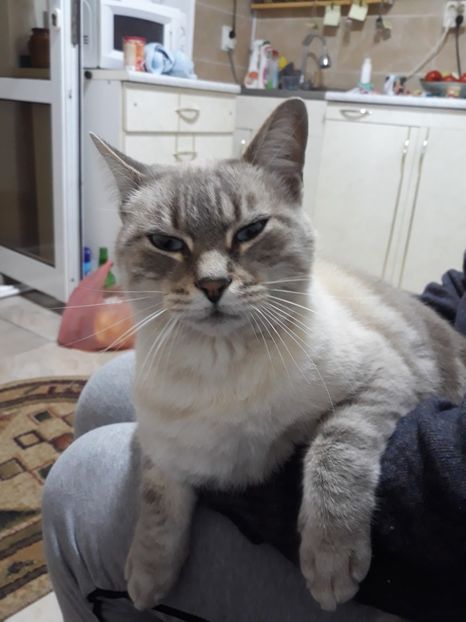  - Prietenii mei cei mai buni