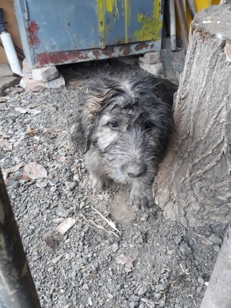  - Prietenii mei cei mai buni