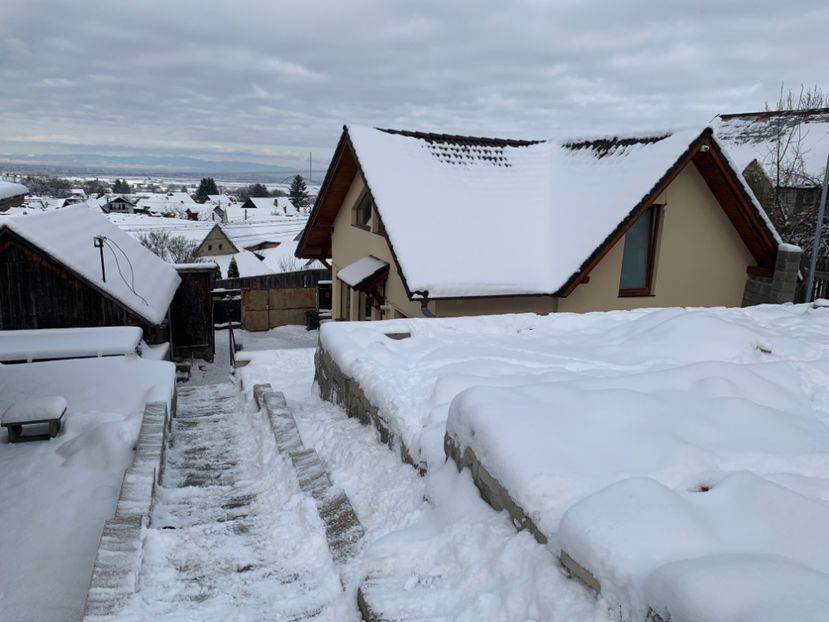 BDCD8645-FDBD-40EC-A1B7-FBB2C5ABC191 - 1 A new beginning