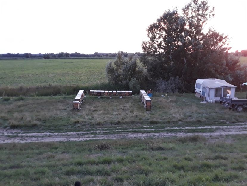  - albine un alt hobby