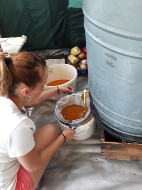  - albine un alt hobby