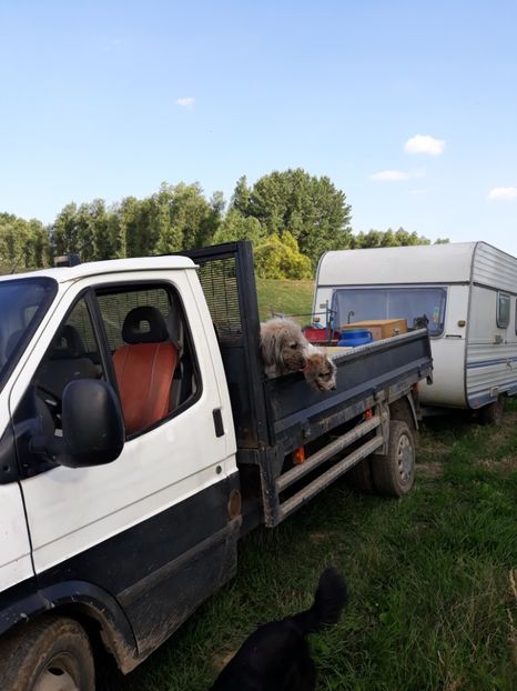  - albine un alt hobby