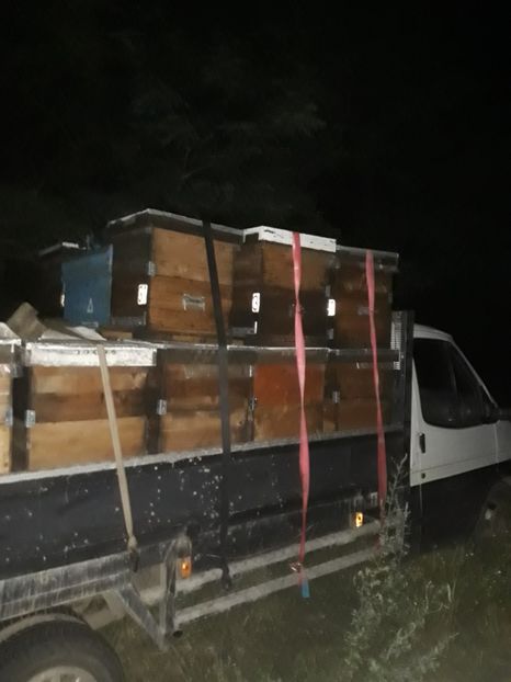  - albine un alt hobby