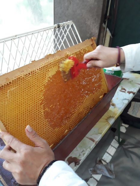  - albine un alt hobby