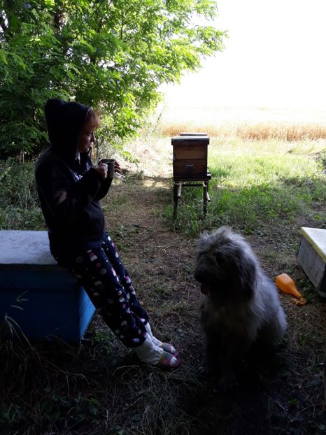  - albine un alt hobby