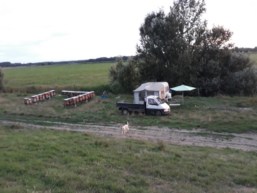  - albine un alt hobby