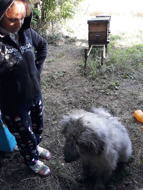  - albine un alt hobby