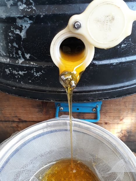  - albine un alt hobby