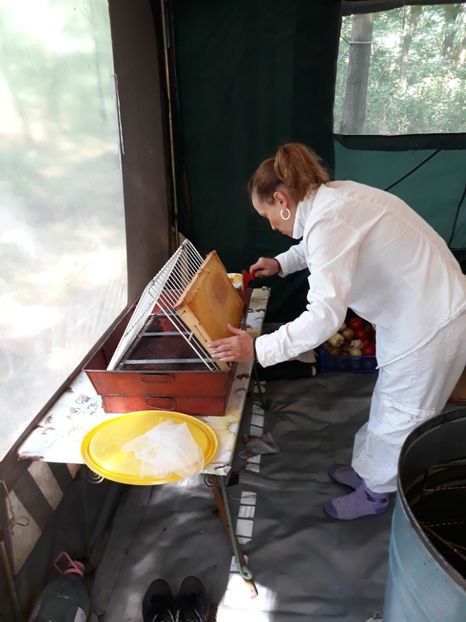  - albine un alt hobby