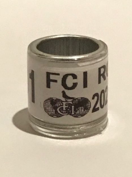 25EC289D-B0EF-45E1-ABE6-8009A9F06ACA - 0 Inele FCI FCPR 2020