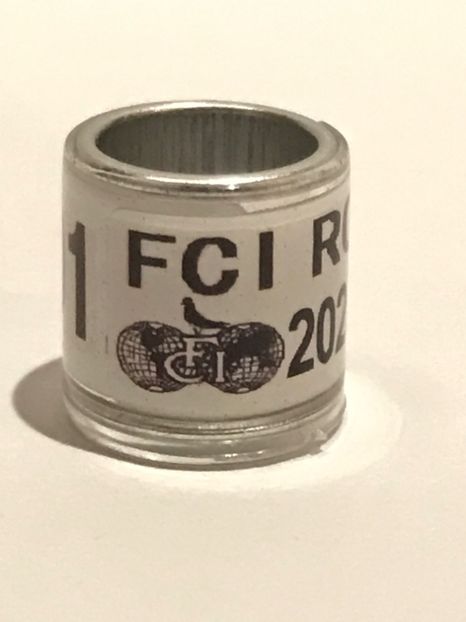 A9E5A695-1083-4110-9FDD-BE164E782ECB - 0 Inele FCI FCPR 2020