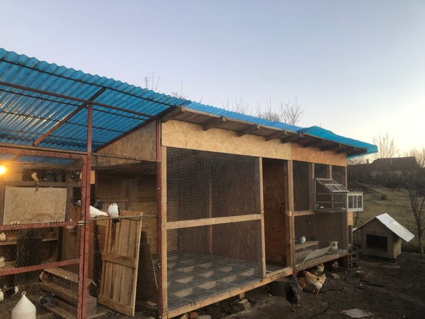  - Voliera numărul 5