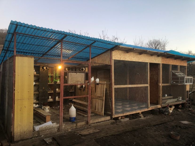  - Voliera numărul 5