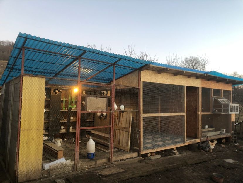  - Voliera numărul 5