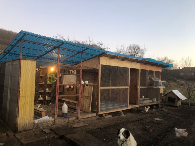  - Voliera numărul 5