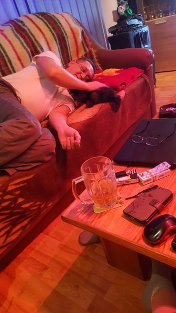  - 2 casa  VILA APIA  2008-2009