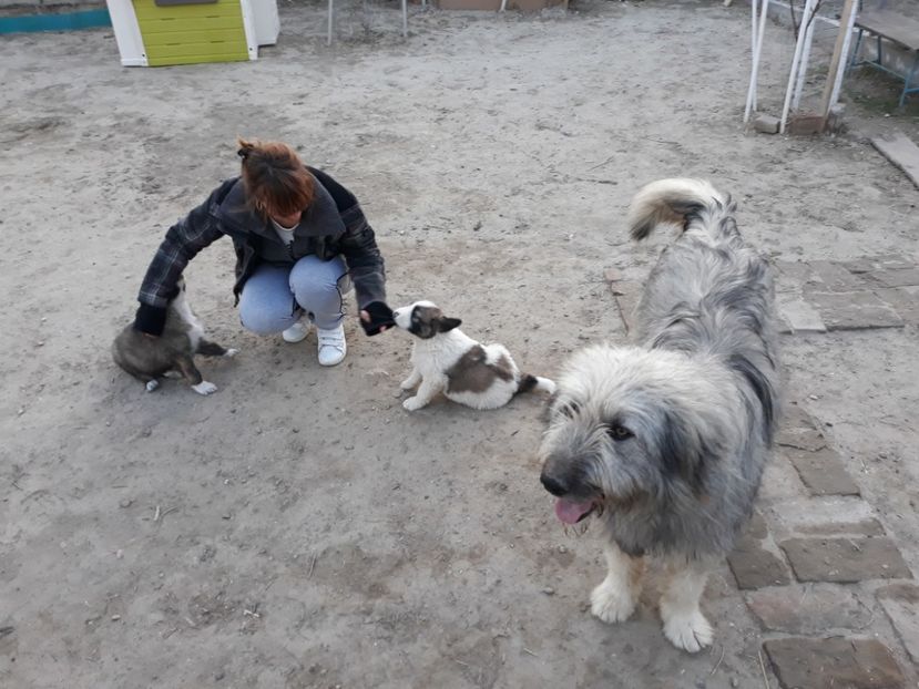  - Prietenii mei cei mai buni