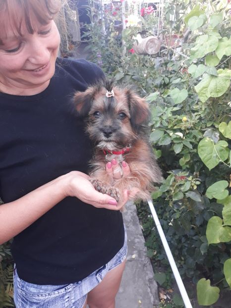  - Prietenii mei cei mai buni