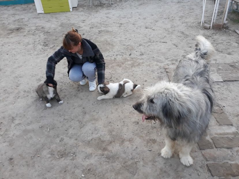  - Prietenii mei cei mai buni