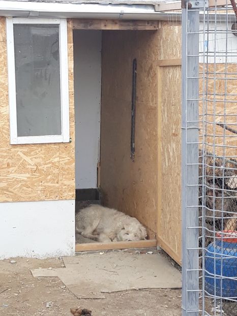  - Prietenii mei cei mai buni