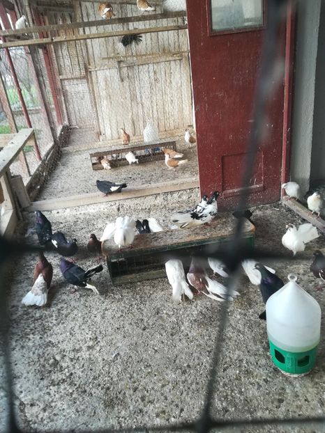  - Roleri de Odesa 2020