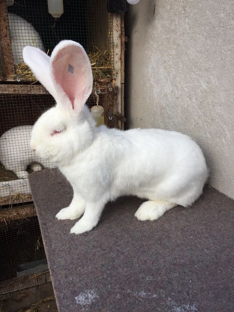 87C2DBAA-7A57-40B2-B238-9BA719A57DE0 - RO 8-398