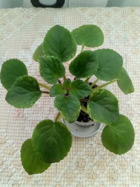 2 ian - Ajohn s Raquel