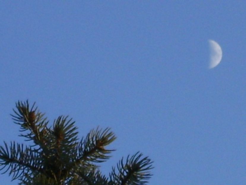 Luna in crestere in Berbec - Luna - Soarele si norii - 2