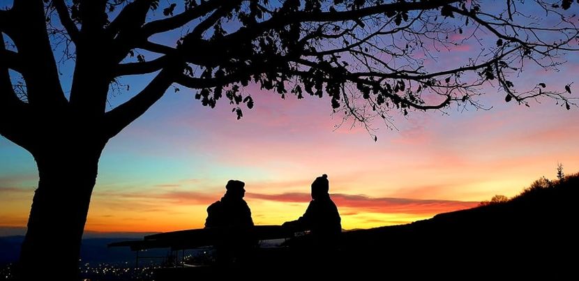  - 2020 Plimbare pe deal și prin padure