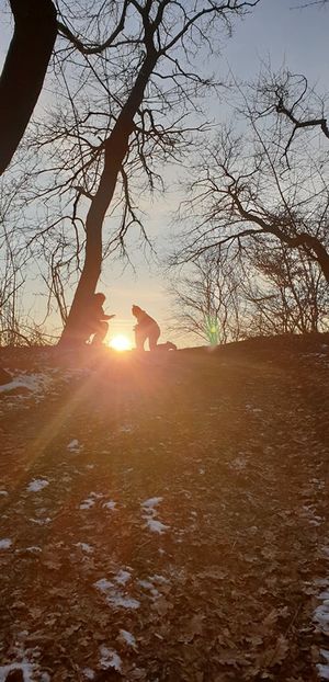  - 2020 Plimbare pe deal și prin padure