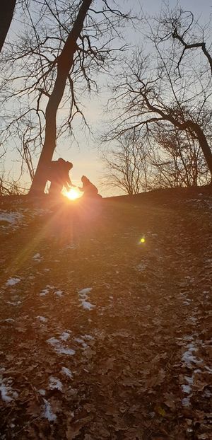  - 2020 Plimbare pe deal și prin padure