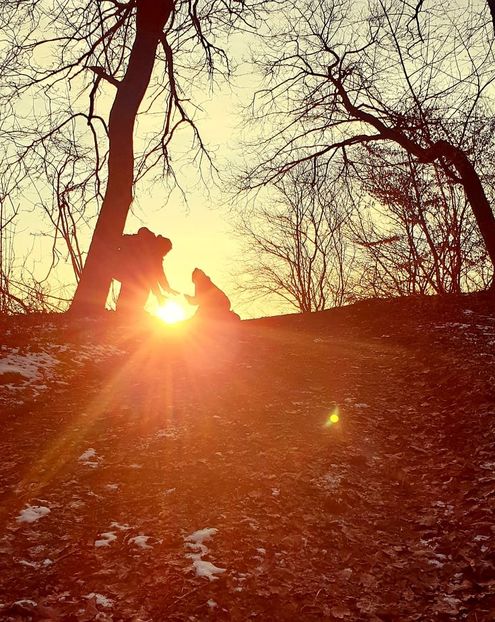  - 2020 Plimbare pe deal și prin padure