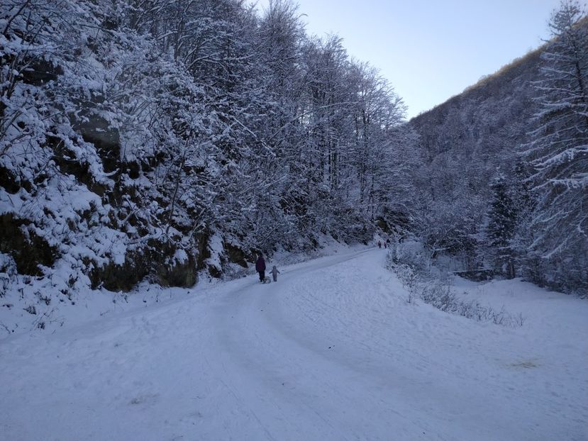  - Iarna la Dobra- Duși