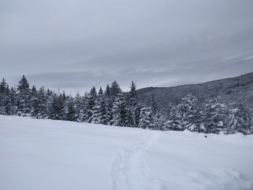  - Iarna la Dobra- Duși