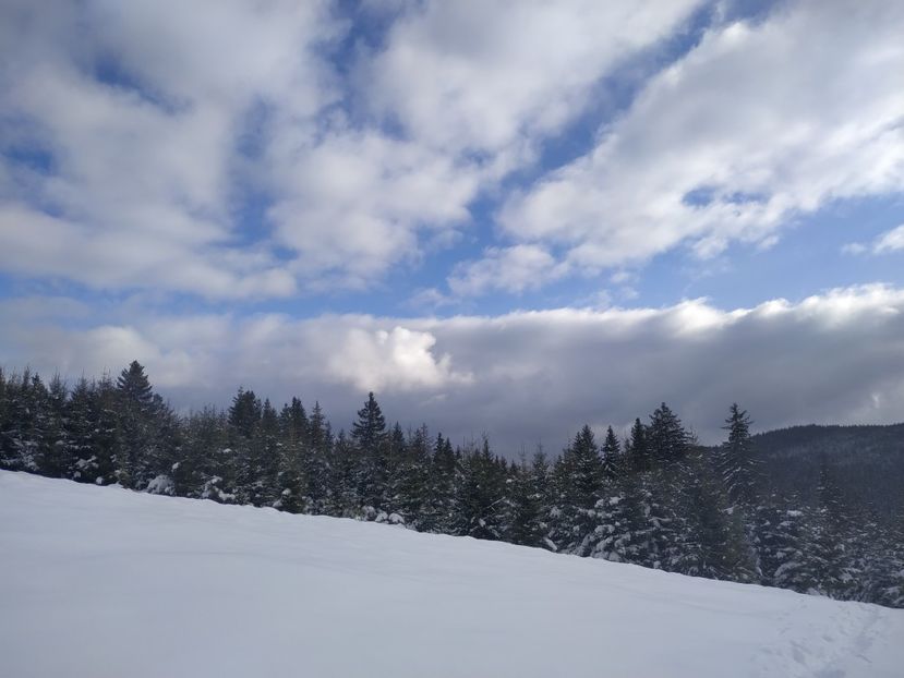  - Iarna la Dobra- Duși